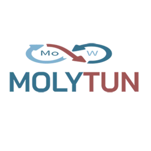 Molytun GmbH